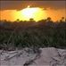 Erica Shultz - Facebook