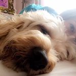 Erica Stierer Stern - @erica.stern - Instagram