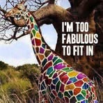 Erika Thalmann - Facebook