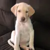 Erika Toscano - @erika.toscano30 - TikTok