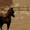 ericawallen605 - @ericawallen605 - TikTok