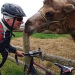 Erich Baumgartner - @baumgartnererich - Instagram