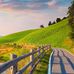 Erich Baumgartner - Facebook