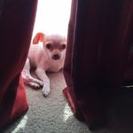 Erich Bender - @erichbender75 - Instagram