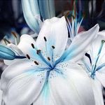 Erich Grimm - @erich.grimm.10 - Instagram