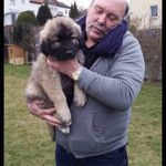 Erich Hoffmann - @nachteule501 - Instagram