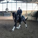 Erich Kaiser - @erichkaiser95 - Instagram