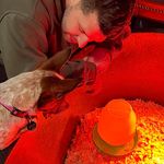 Erich Kaiser - @erich_k0831 - Instagram