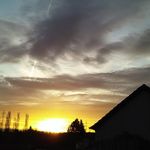 Erich Kaiser - @erichkaiser111 - Instagram