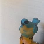 Erich Kaufmann - @erichkaufmann4 - Instagram