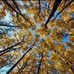 Erich Ludwig - Facebook