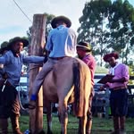 Erich Marques - @erich__marqu3s - Instagram