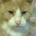Erich Sawusch - Facebook