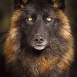 Erich Wolf - @manuela.ew2021 - Instagram