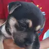 Erick Aldana - @erick.aldana739 - TikTok