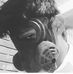 Erick Alegria - Facebook