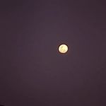 Erick Alfaro - @erick_alfaro675 - Instagram