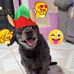 Erick Bacho - @erick.bacho.58 - Instagram