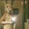Erick Baltazar - @erick.baltazar64 - TikTok