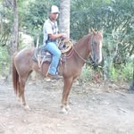 Erick Barrios - @erickbarrios038 - Instagram