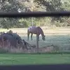 Erick Becker - @erick.becker78 - TikTok