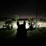 Eric Boyer - @lesecuriesdebalan - Instagram
