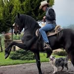 Erick Brito - @erick_britooo - Instagram