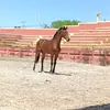 Erick_brito.J - @erick_brito.j - TikTok