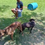Erick Buckley - Facebook