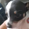erick_buenrostro6787 - @erick_buenrostro6787 - TikTok