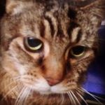 Erick Burton - @lordgoldenheart - Instagram