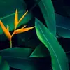 eric byron - @eric.byron - TikTok