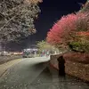 Erick Caal - @erick.caal64 - TikTok