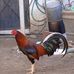 Erick Cabrera - Facebook