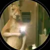 erik cabrera - @cabrera._.erik - TikTok
