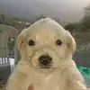 erickcanela21 - @erickcanela21 - TikTok
