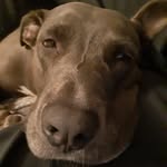 Eric Capote - @ericcapote - Instagram
