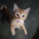 Erick Angelo Capulong - @erick.c34 - Instagram