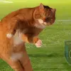 Erick Cardona - @erick.cardona44 - TikTok