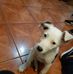 Erick Cascante - Facebook