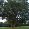 Erick Chacon - @erickchacon1481 - TikTok
