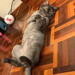 Eric Chou - @ew911 - Instagram