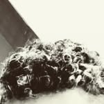Erick ofc - @erickclaycoelhoandrade - Instagram