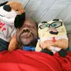 Erik Clayton - @erik.clayton0 - TikTok