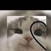 Erick Colindres - Facebook