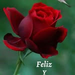 Erick Collazo - @erick.collazo.779 - Instagram