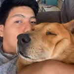 Erick cornejo - @corne_hut - Instagram