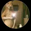 erickcorrea407 - @erickcorrea407 - TikTok