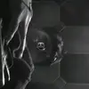 Erick J. C - @erickcorte44 - TikTok