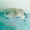 Erick Cosio Martínez - @erickcosiomartíne - TikTok